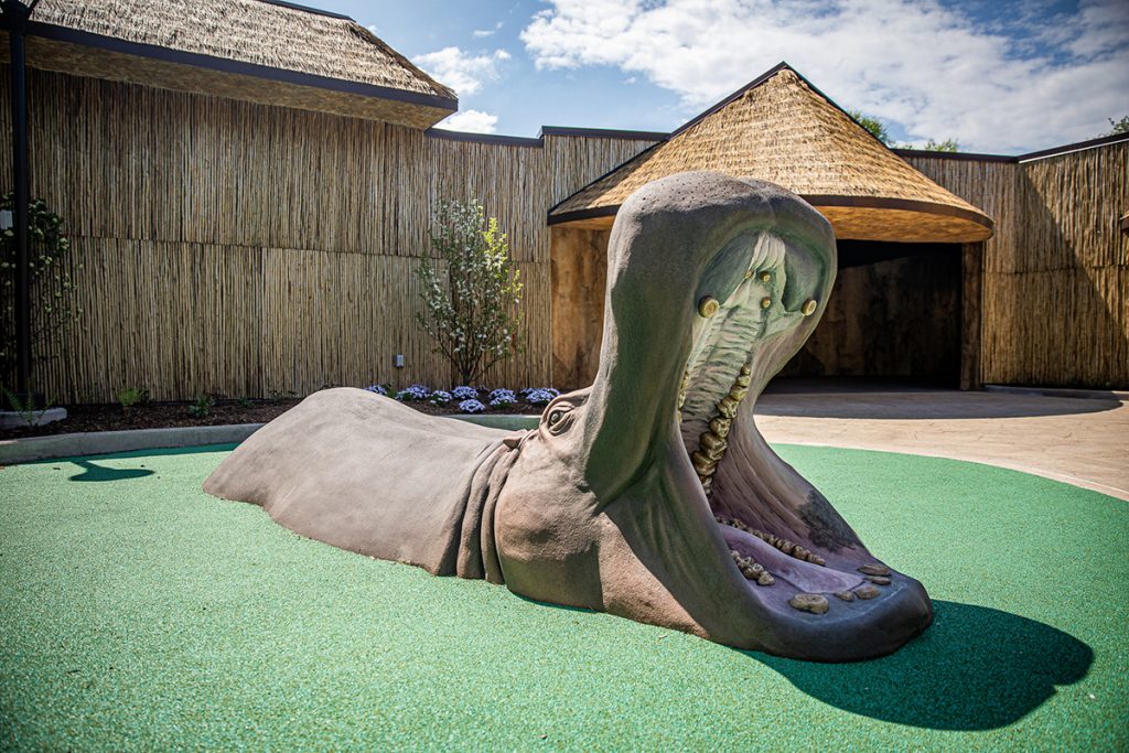 Extreme Home Makeover: Hippo Edition